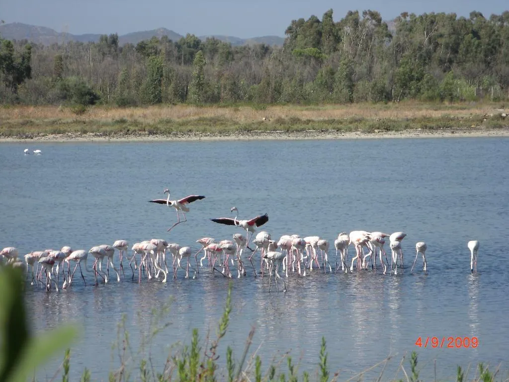 Holiday park Villaggio Camping Torre Salinas San Priamo